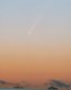 Comet McNaught