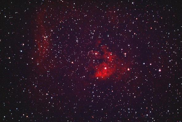 NGC 7822 in Cepheus (photo)