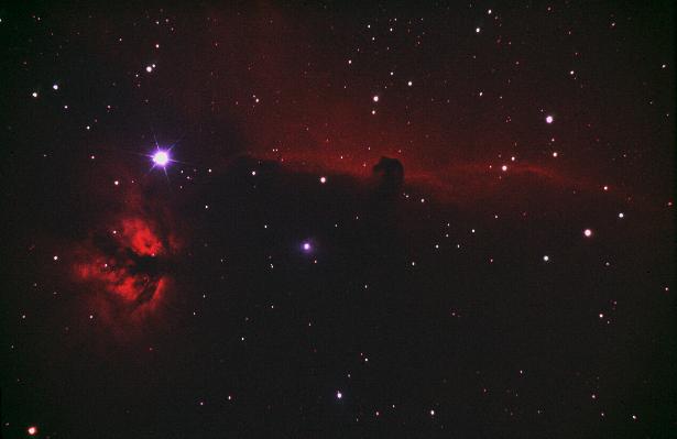 Horsehead nebula and NGC 2024 (photo)