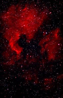 NGC 7000 (photo)