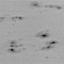 large sunspot group, 28 June 1999